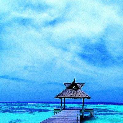 beat365手机版官方网站下载手机版