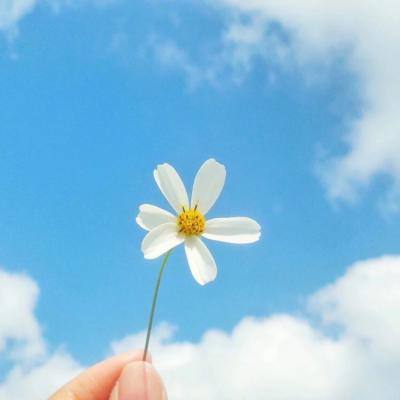 爱游戏综合官方网站App下载