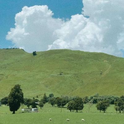 赢三张免费游戏手机app下载