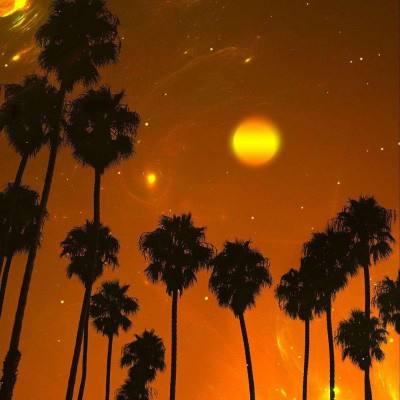 亚洲体育官网登录