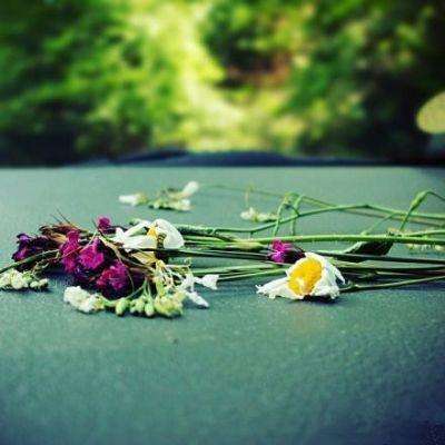 半岛全站app下载