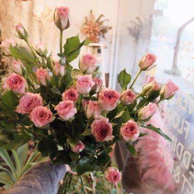 4949澳门免费资料大全