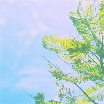 2023年香港资料精准