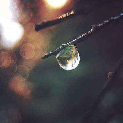 万博全站(Manbetx)官方网站