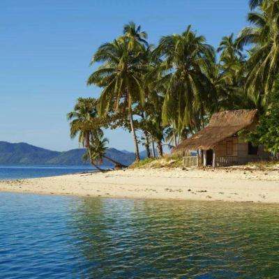 星空线上官网app下载