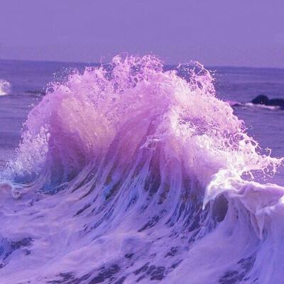 威尼斯澳门人(亚洲)第一品牌